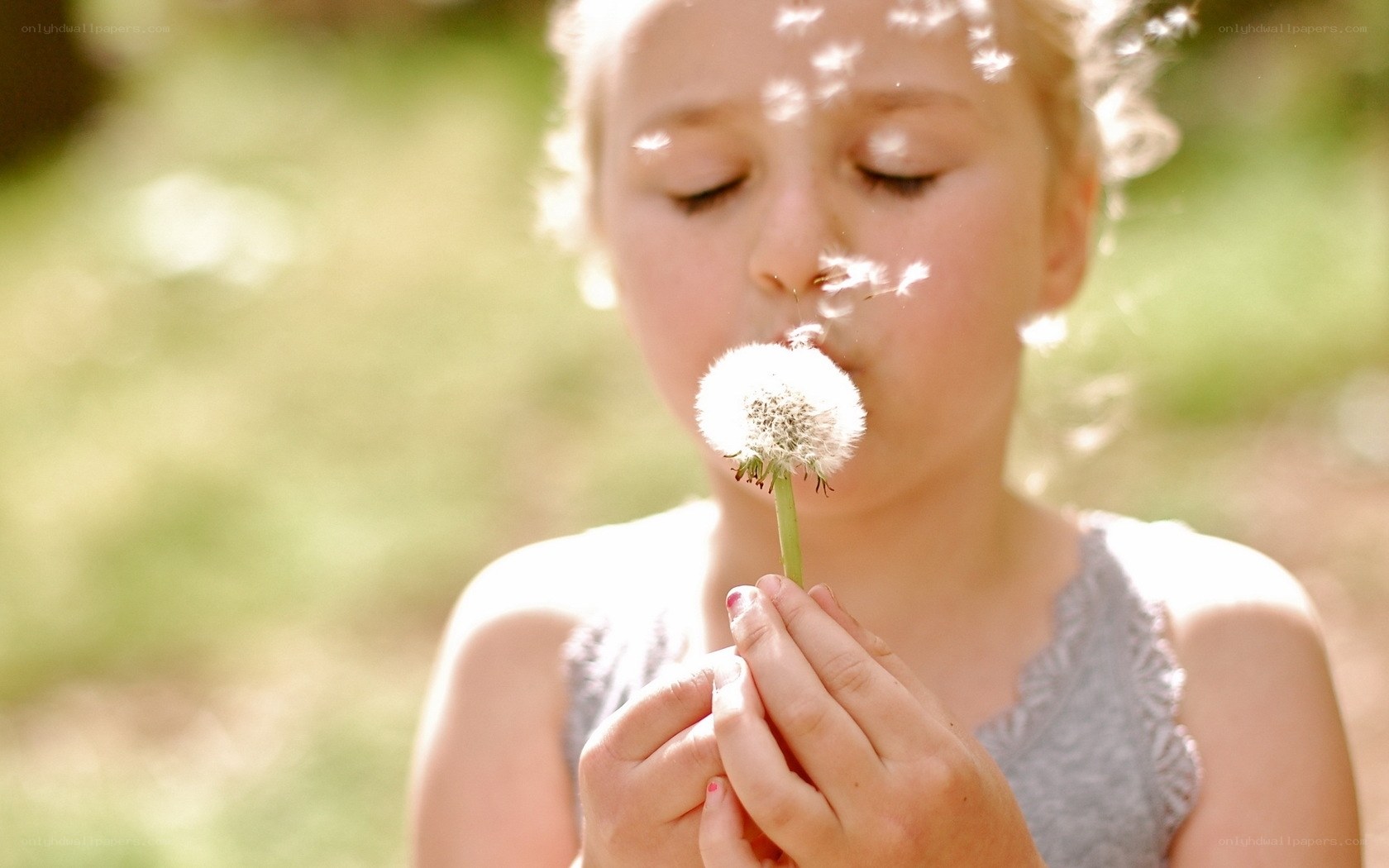 child blowing dandelion seeds