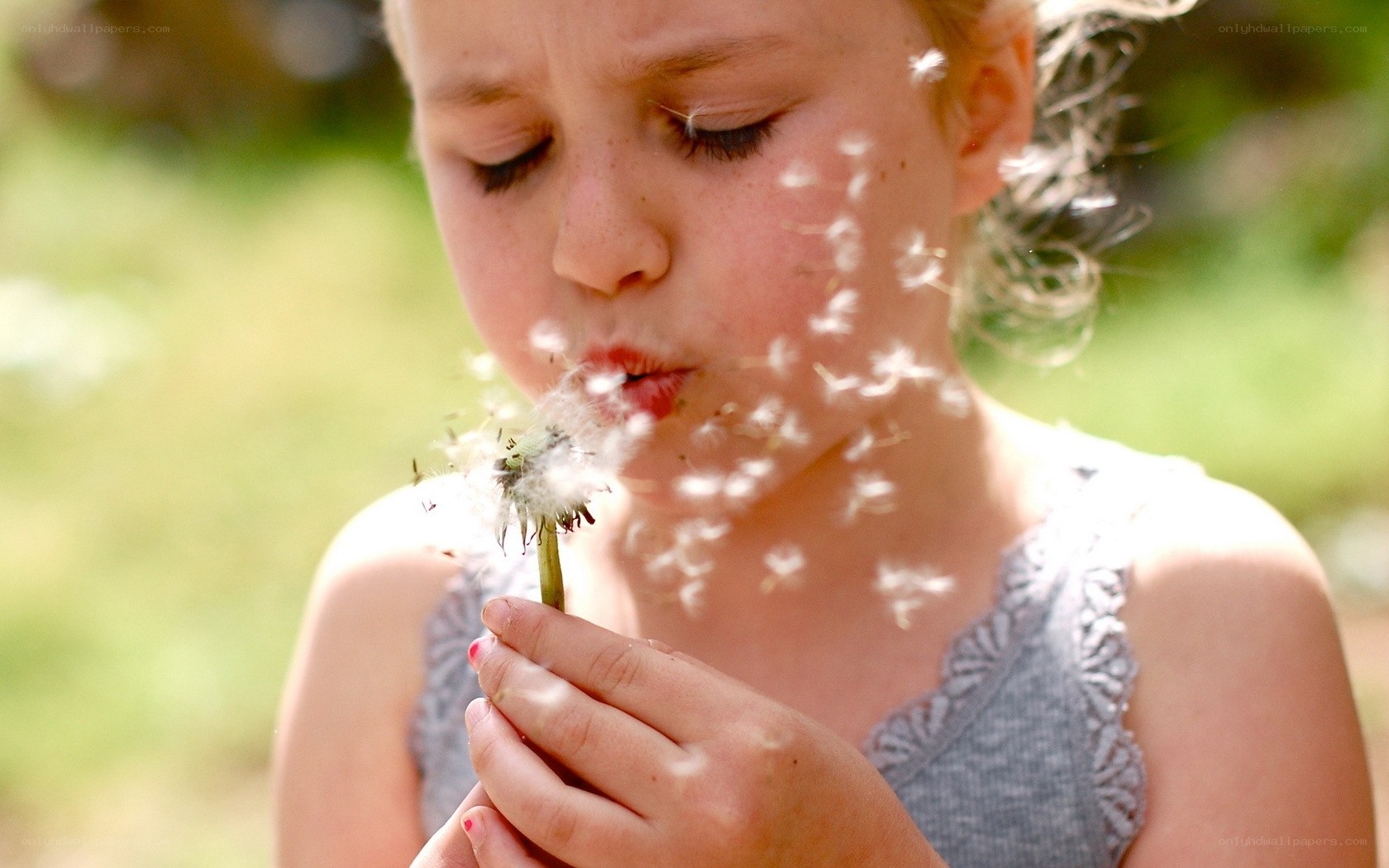 child blowing dandelion seeds