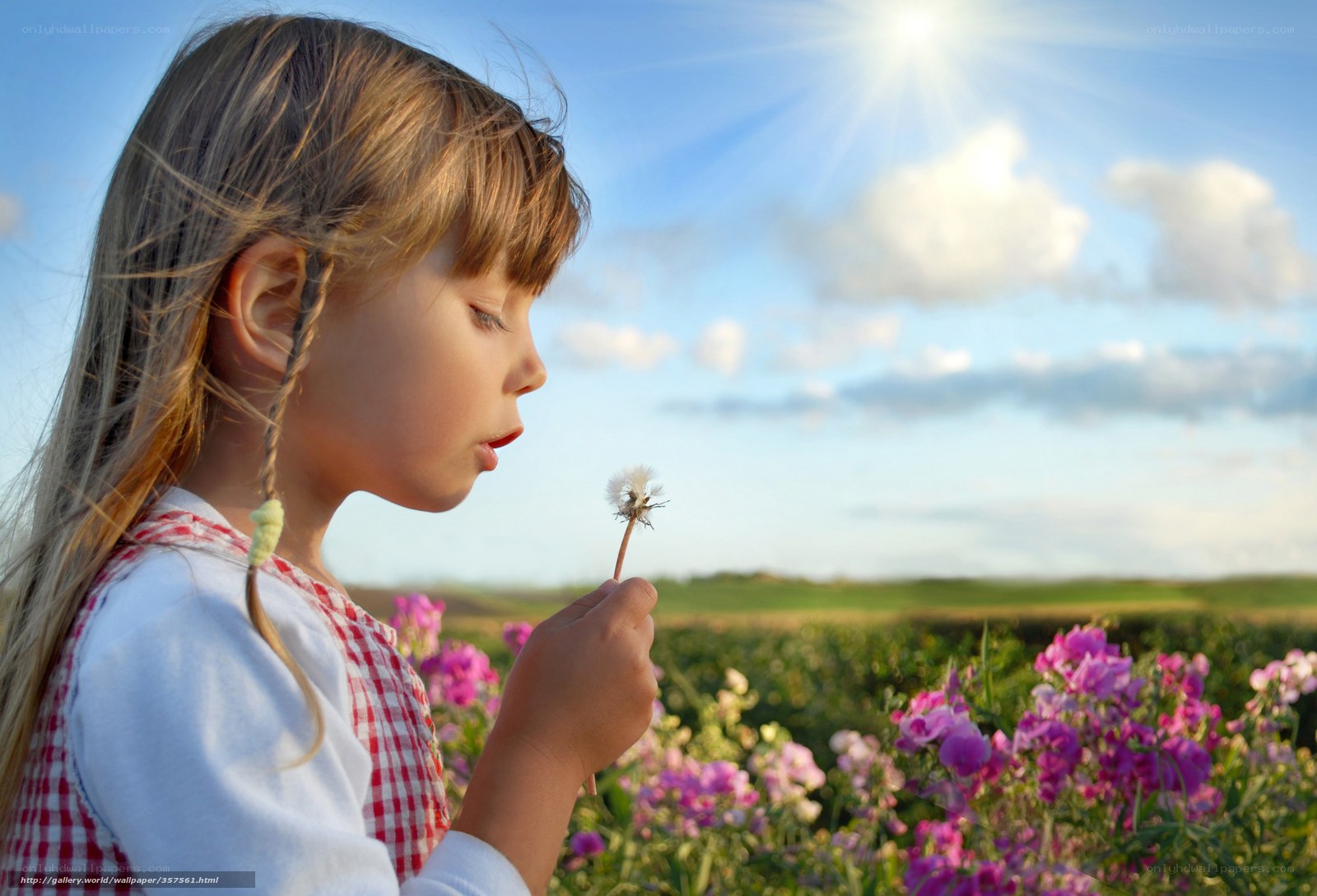 child blowing dandelion seeds