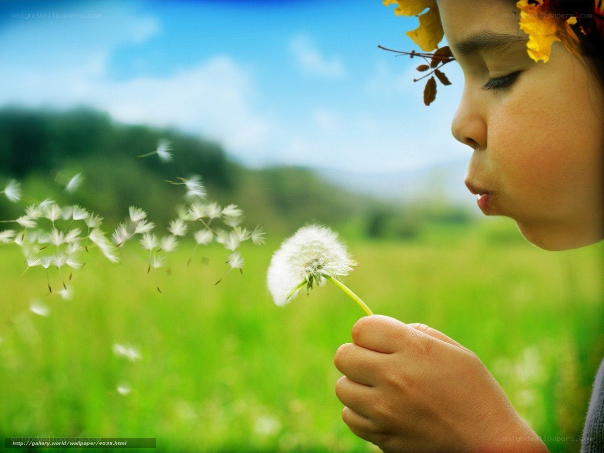 child blowing dandelion seeds