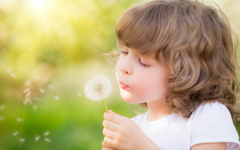 Child Blowing Dandelion — White