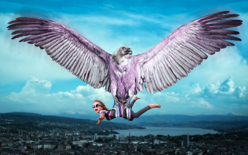 Child Carried by Bird