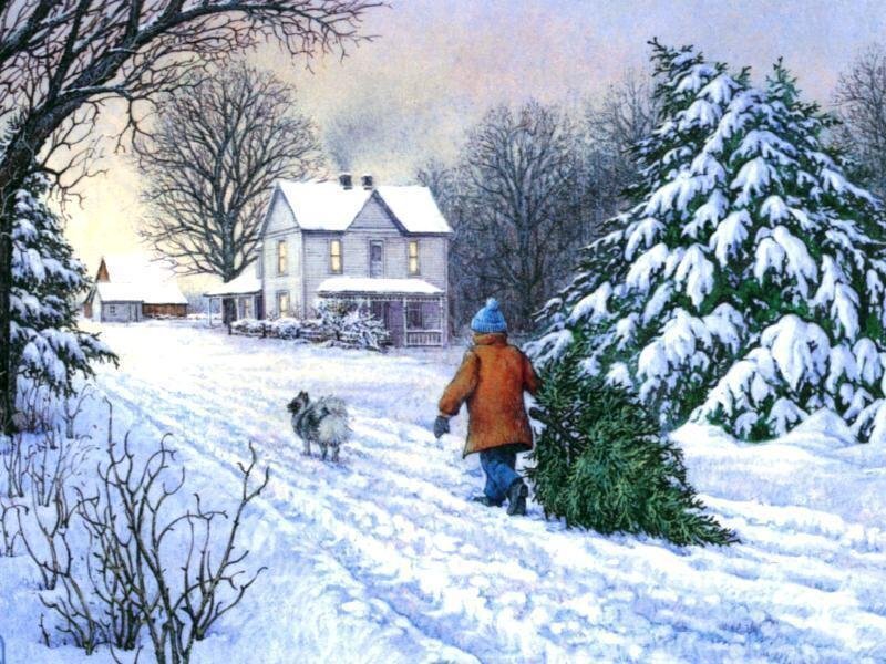 Child Carrying Christmas Tree