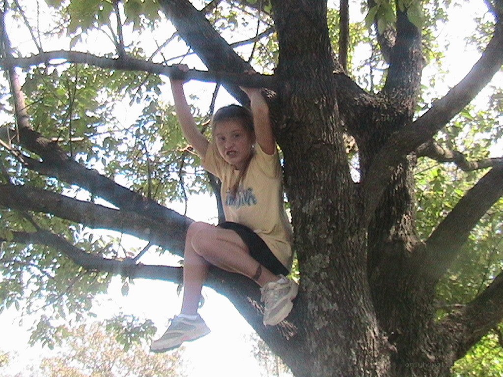 child climbing a tree