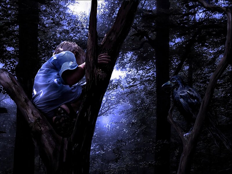 Child Climbing Tree