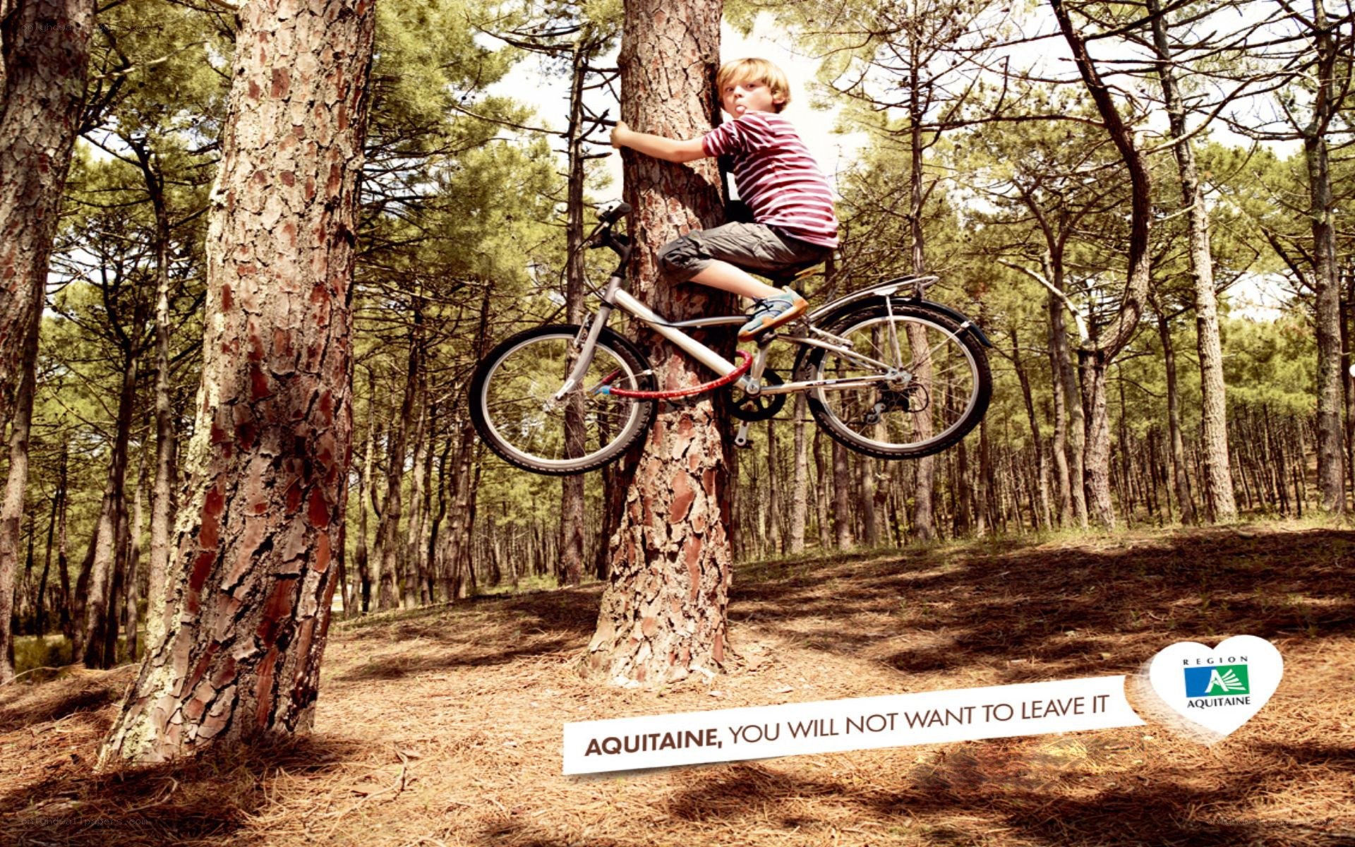 child climbing tree with bike