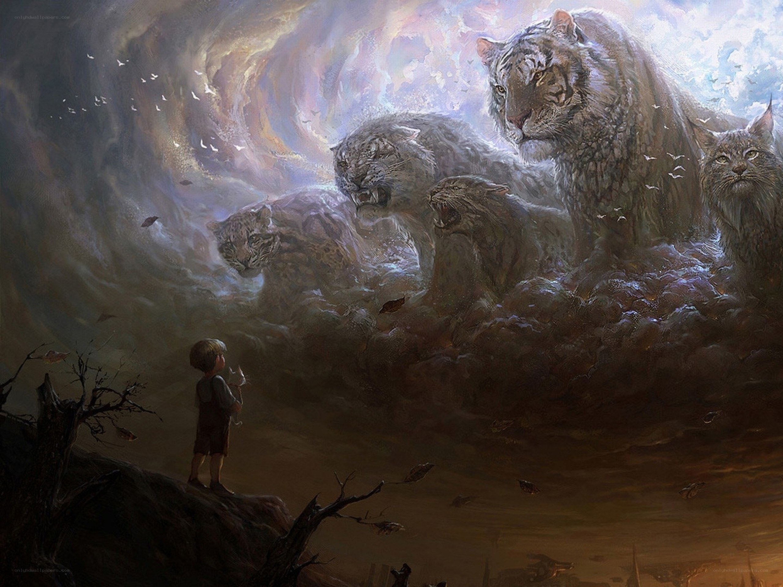 child facing giant cats