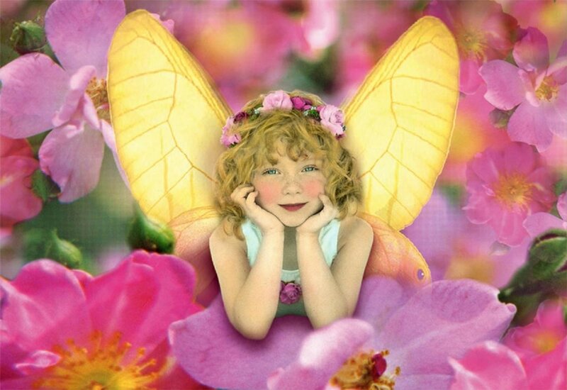 Child Fairy in Flowers