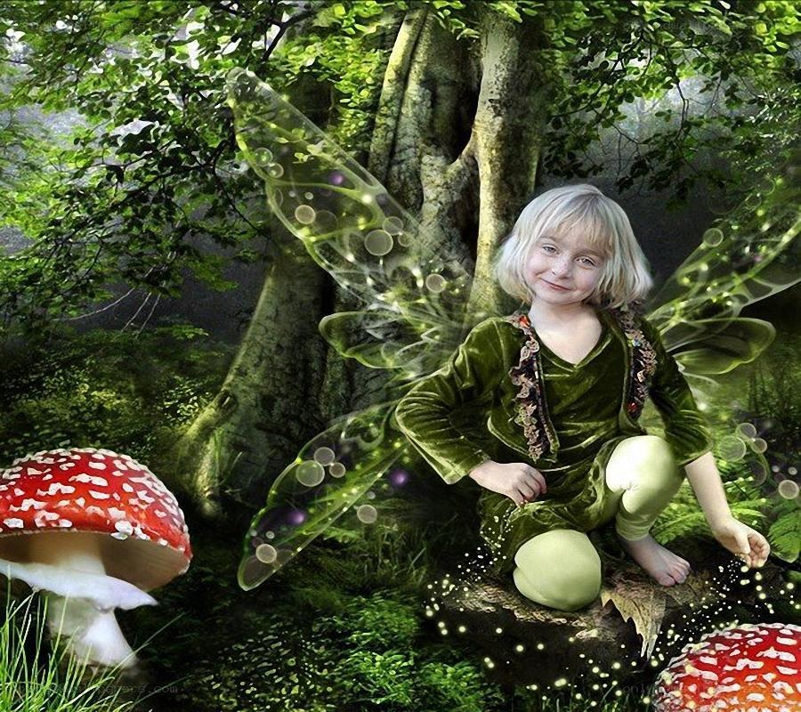 child fairy in forest