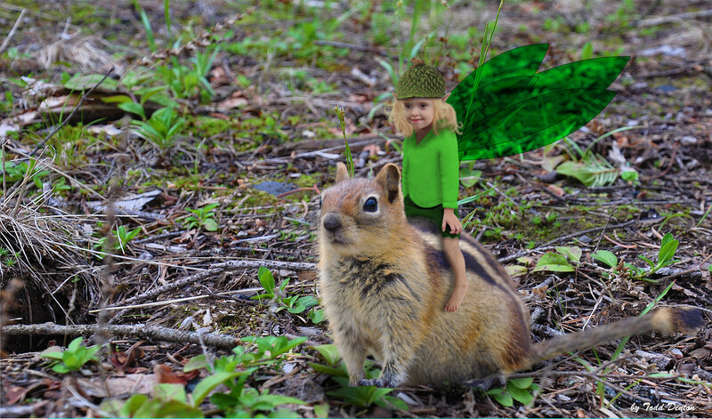 Child Fairy on Chipmunk