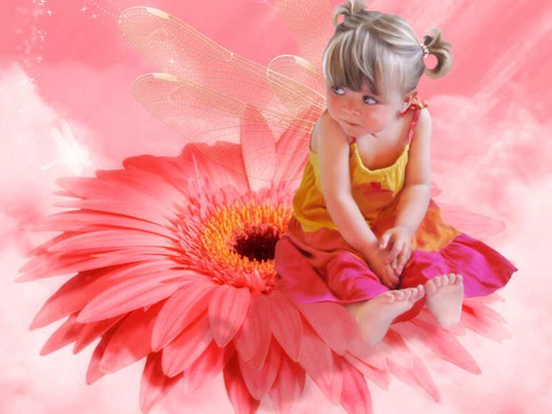 Child Fairy on Flower