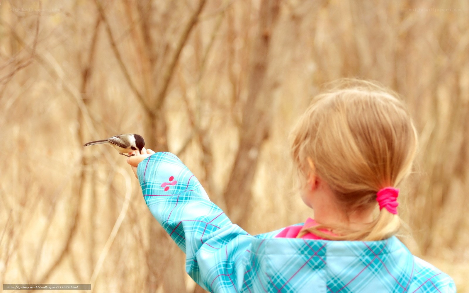 child feeding a bird