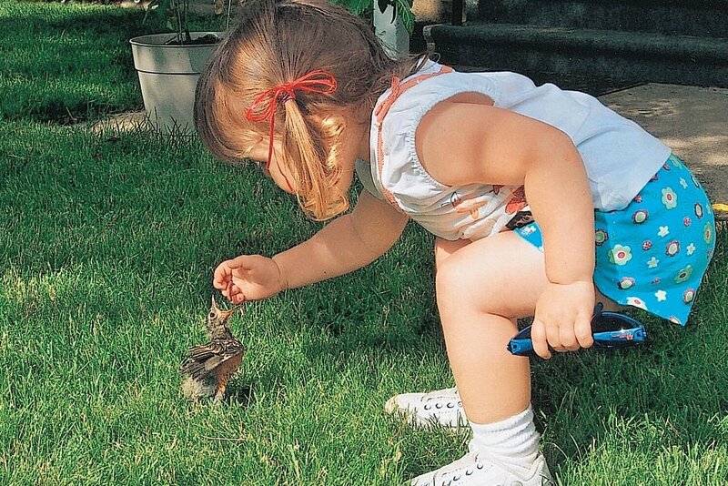 Child Feeding Bird