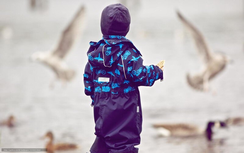Child Feeding Birds — Blue, Calm