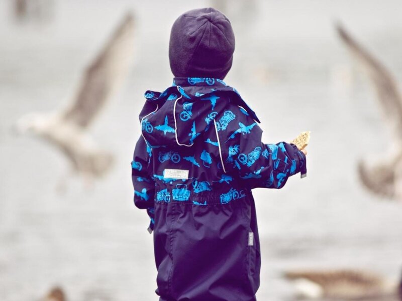 Child Feeding Birds — Blue