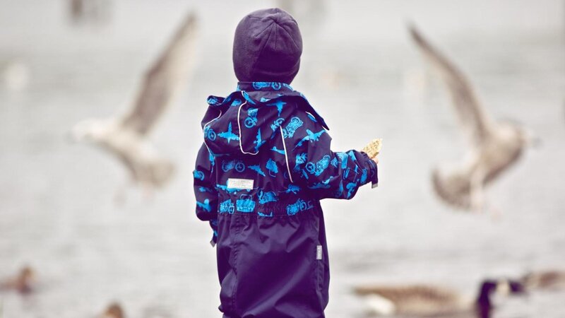 child feeding birds by water