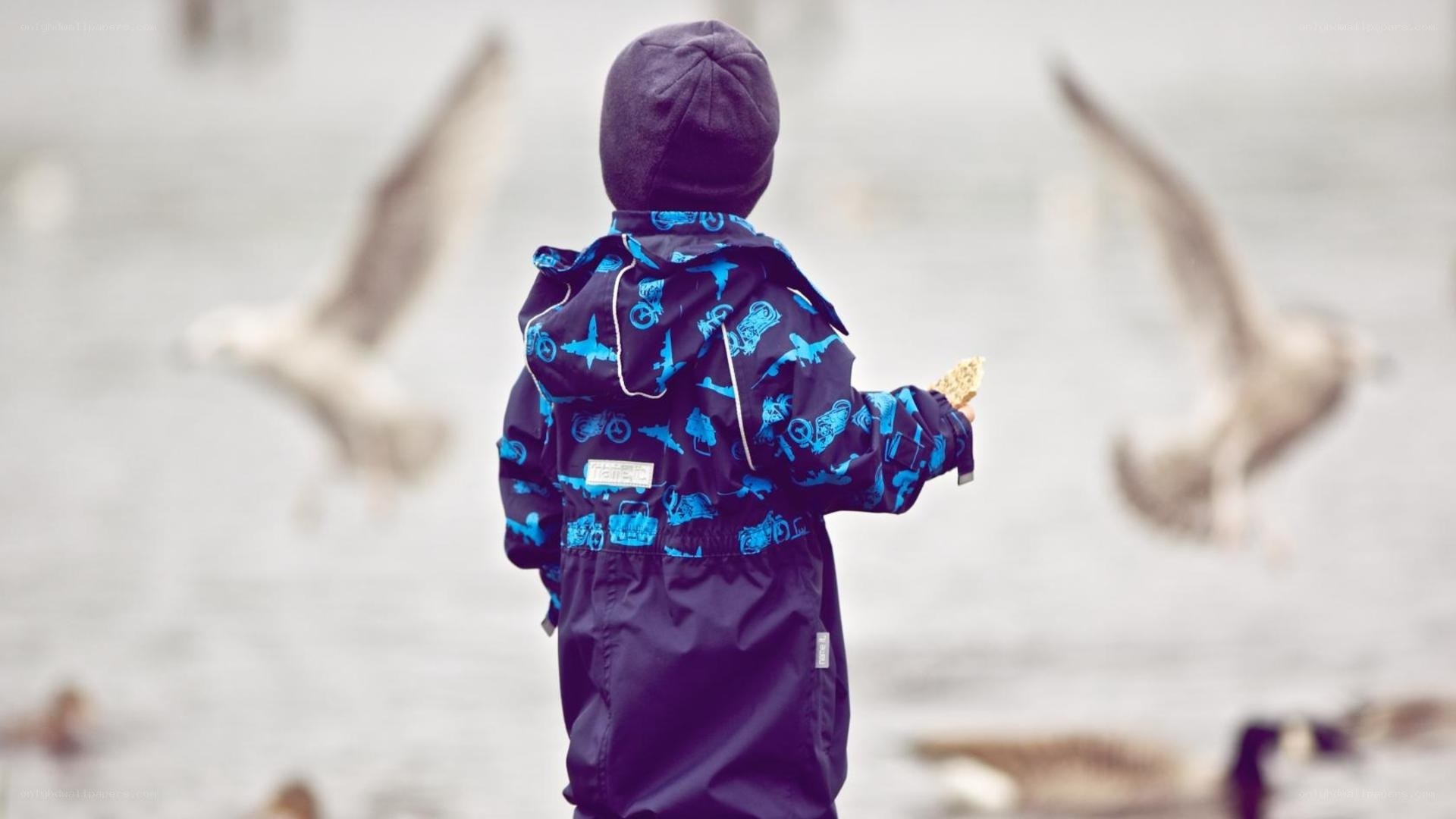 child feeding birds by water