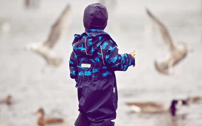 Child Feeding Birds