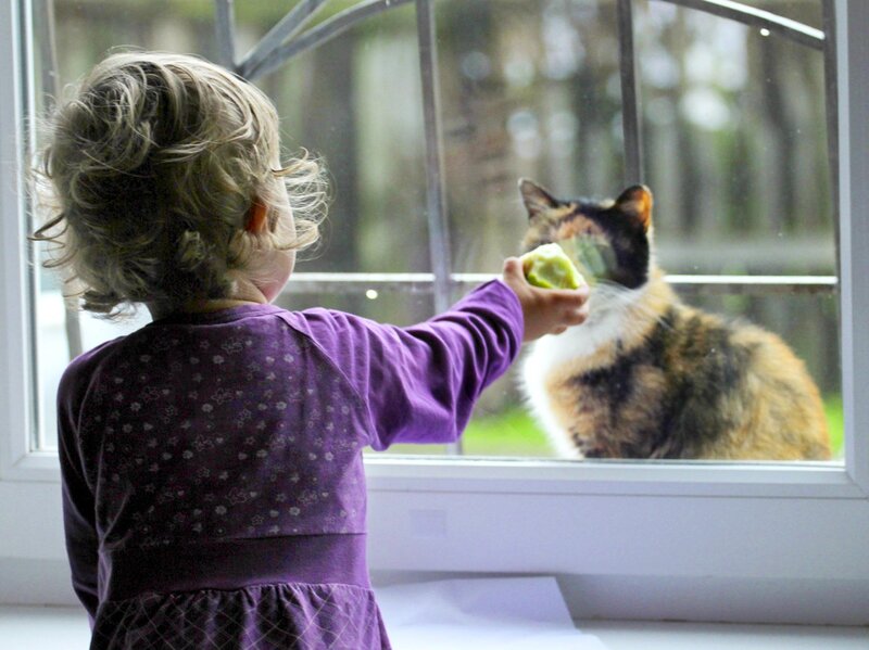 Child Feeding Cat — Purple