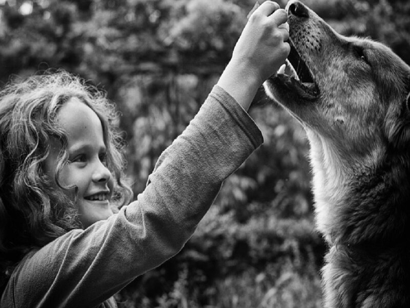 Child Feeding Dog — Black
