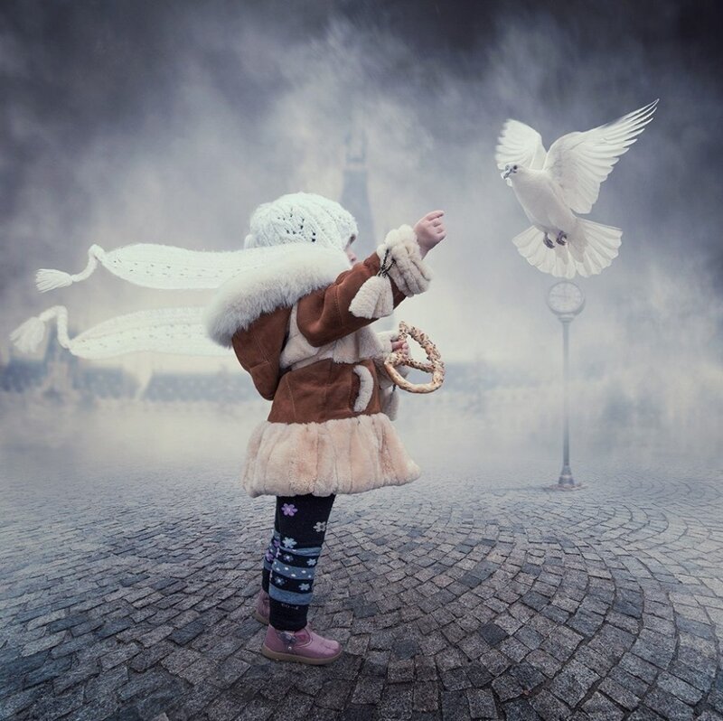 Child Feeding Dove