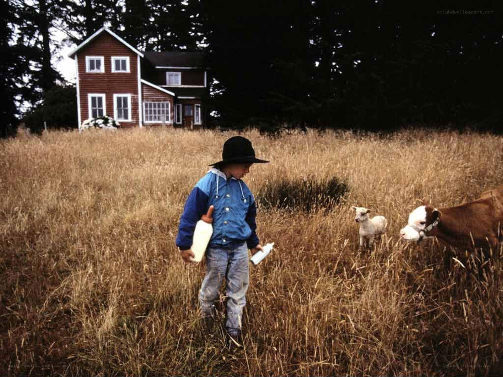 Child feeding farm animals