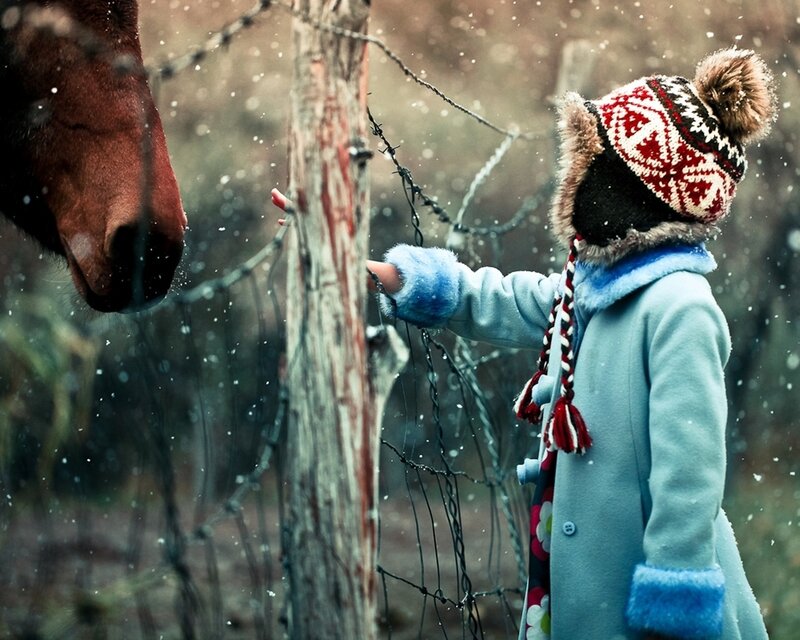 Child Feeding Horse — Blue