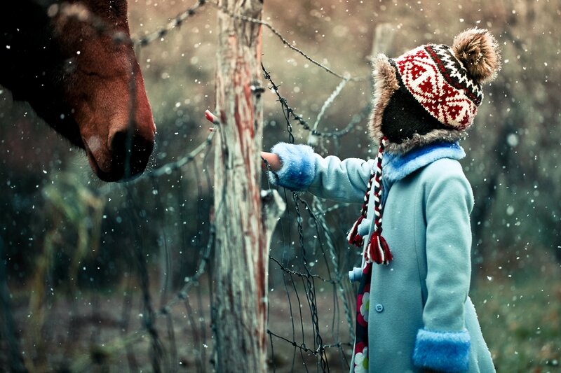 child feeding horse in snow