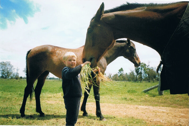 Child Feeding Horse