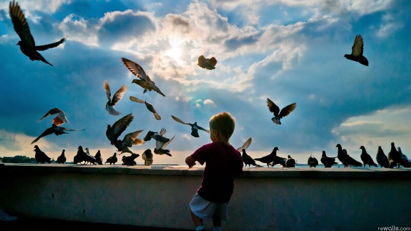 Child Feeding Pigeons — Blue, Dramatic, Sunset, Photograph, Sky