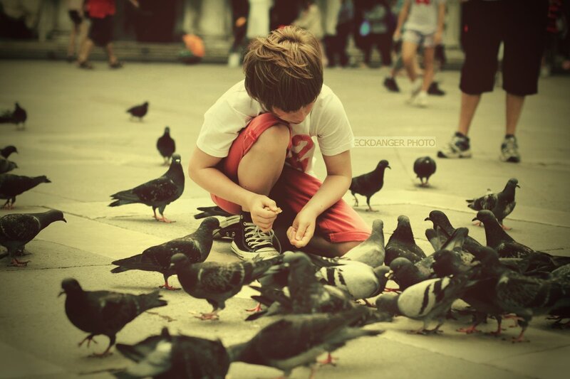 child feeding pigeons in square