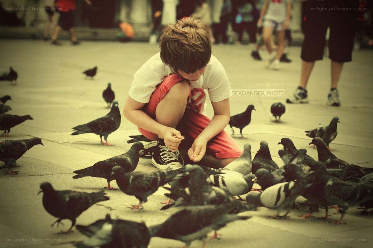 child feeding pigeons in square