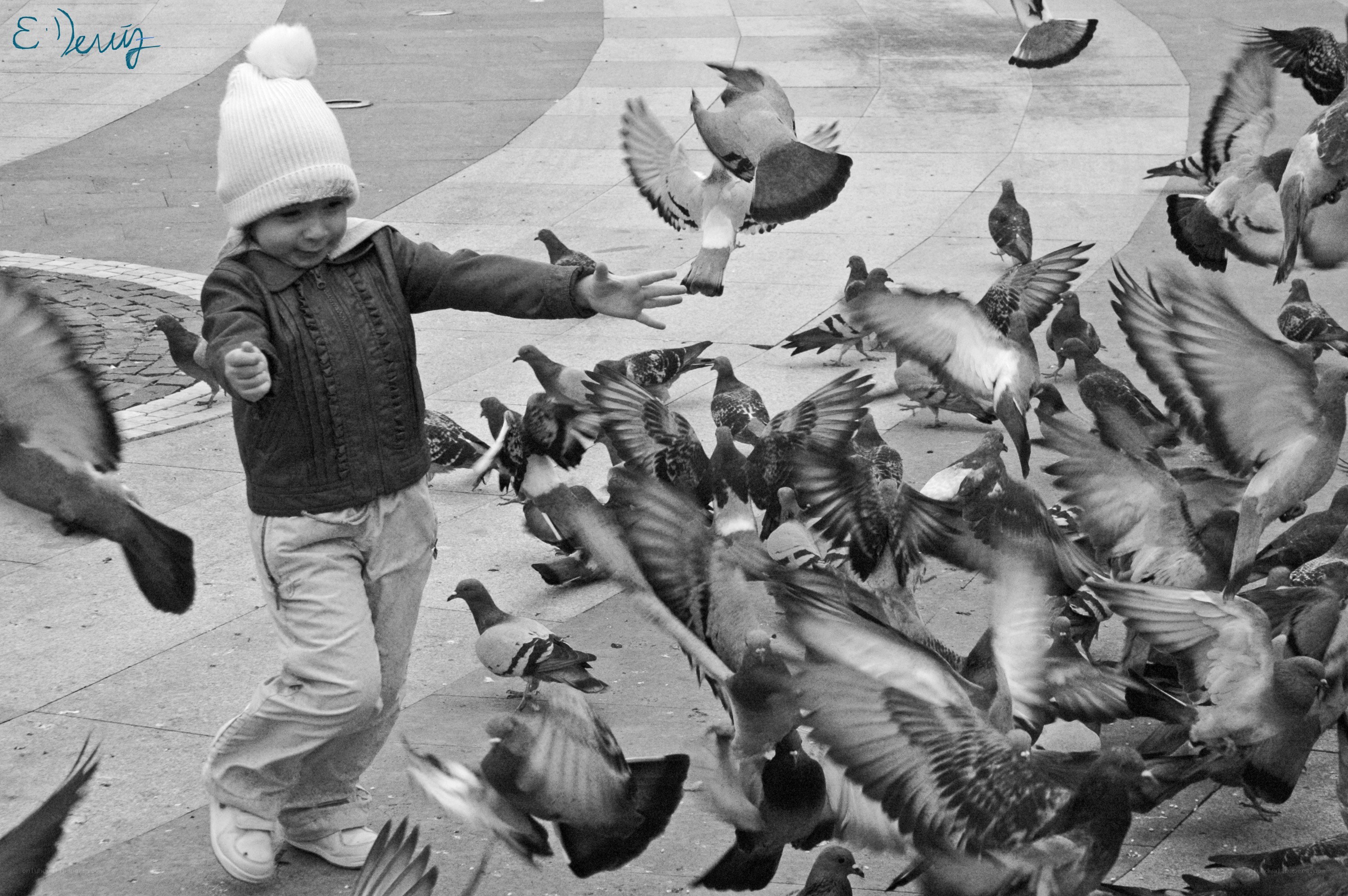 child feeding pigeons in square