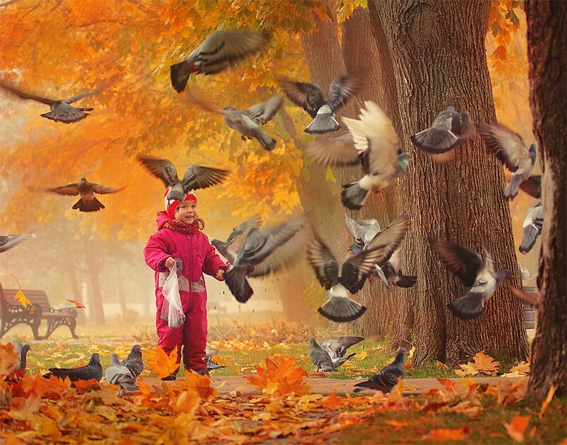Child Feeding Pigeons — Orange