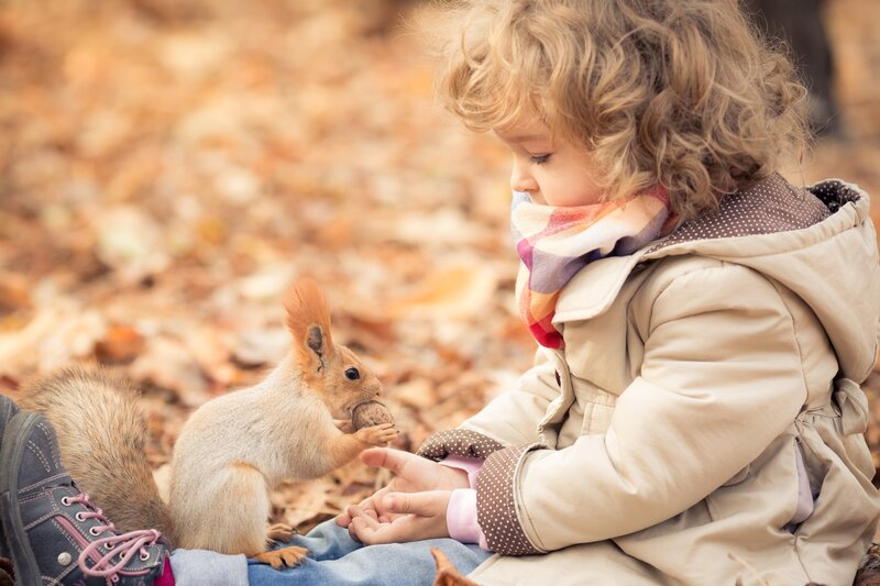 Child Feeding Squirrel — Brown