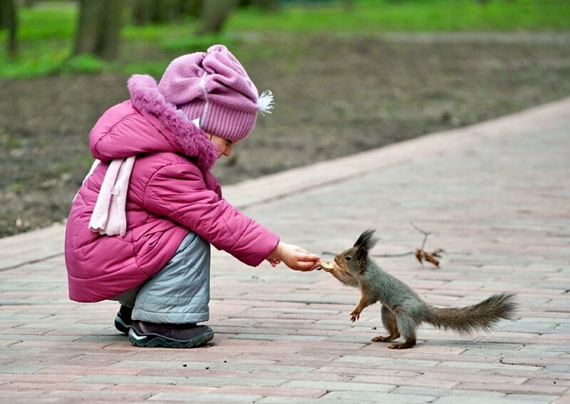 Child Feeding Squirrel