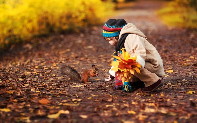 Child Feeding Squirrel — Yellow, Peaceful
