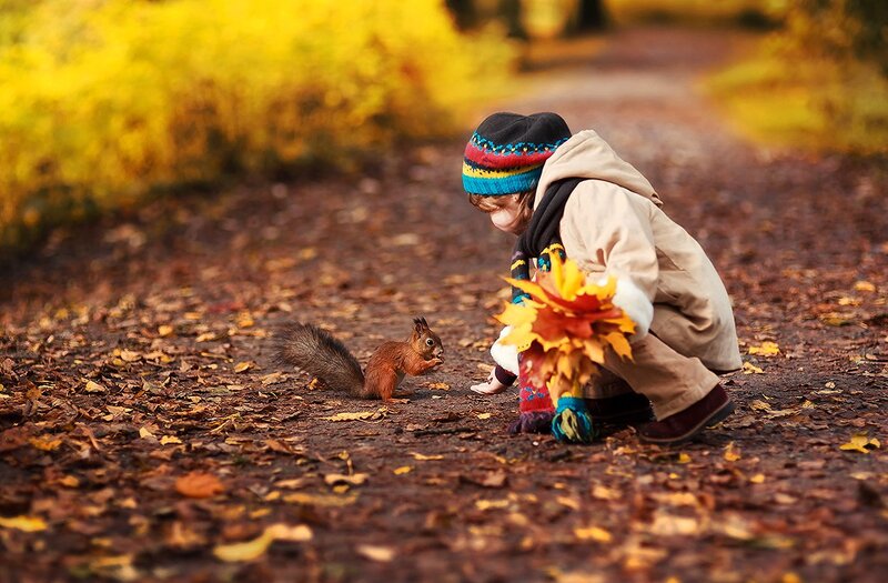 Child Feeding Squirrel — Yellow