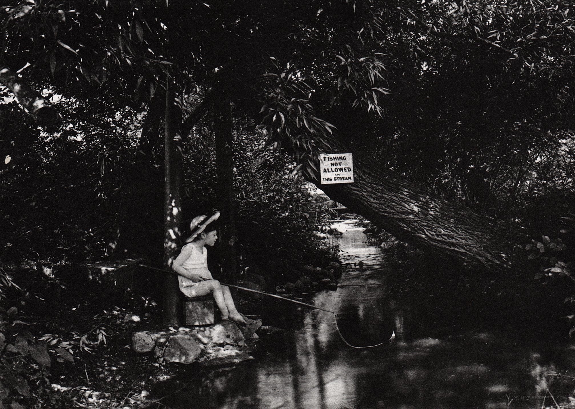 Child fishing by stream