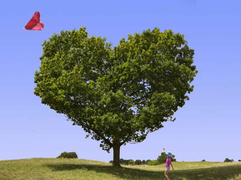Child Flying Kite — Green, Serene, Afternoon