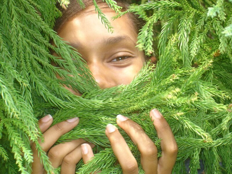 Child Hiding in Foliage