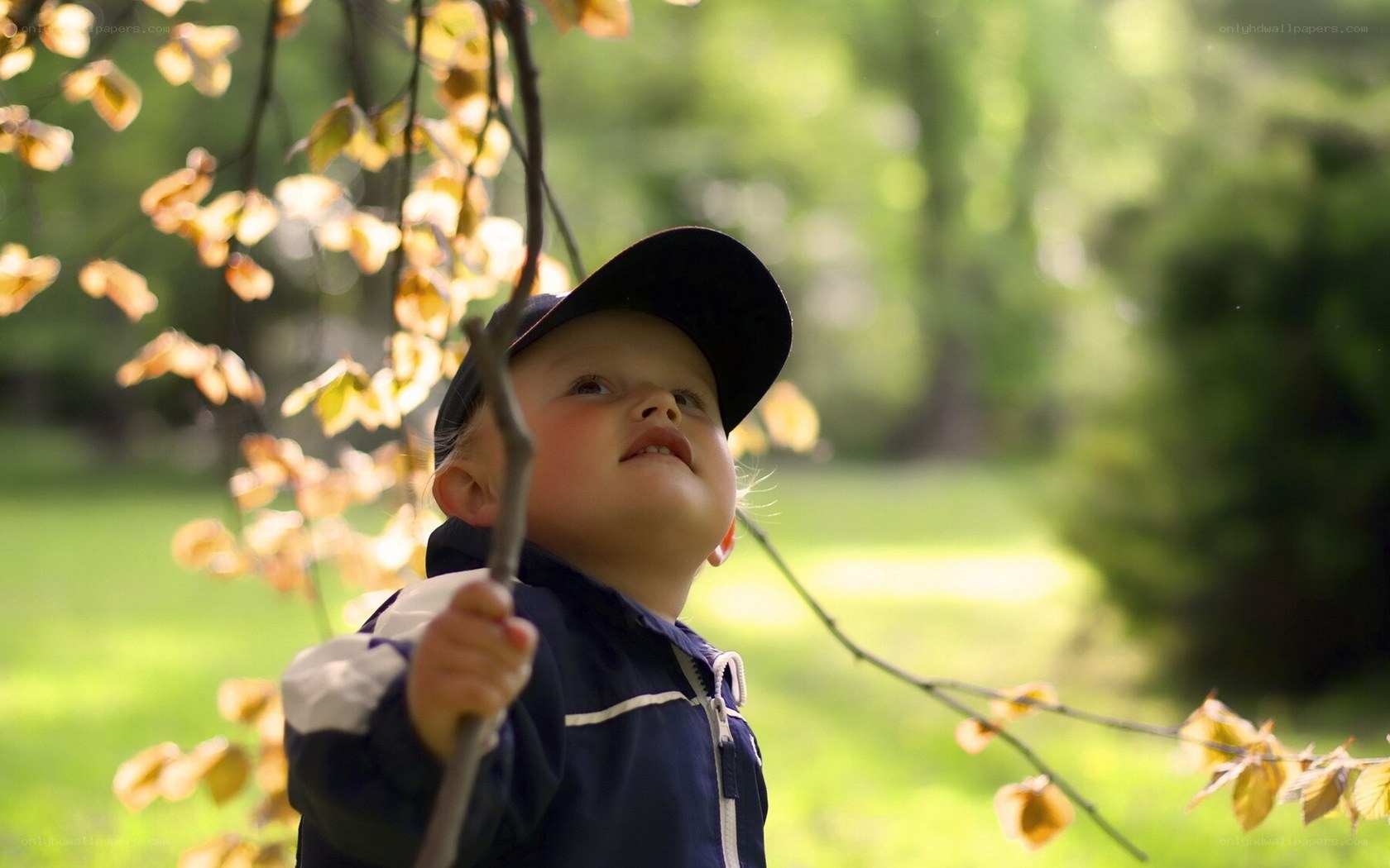 Child holding a branch
