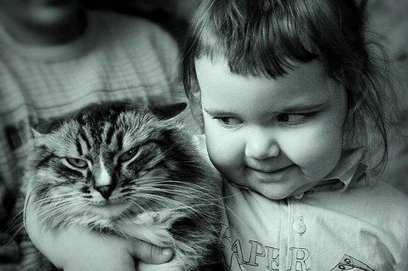 child holding a cat