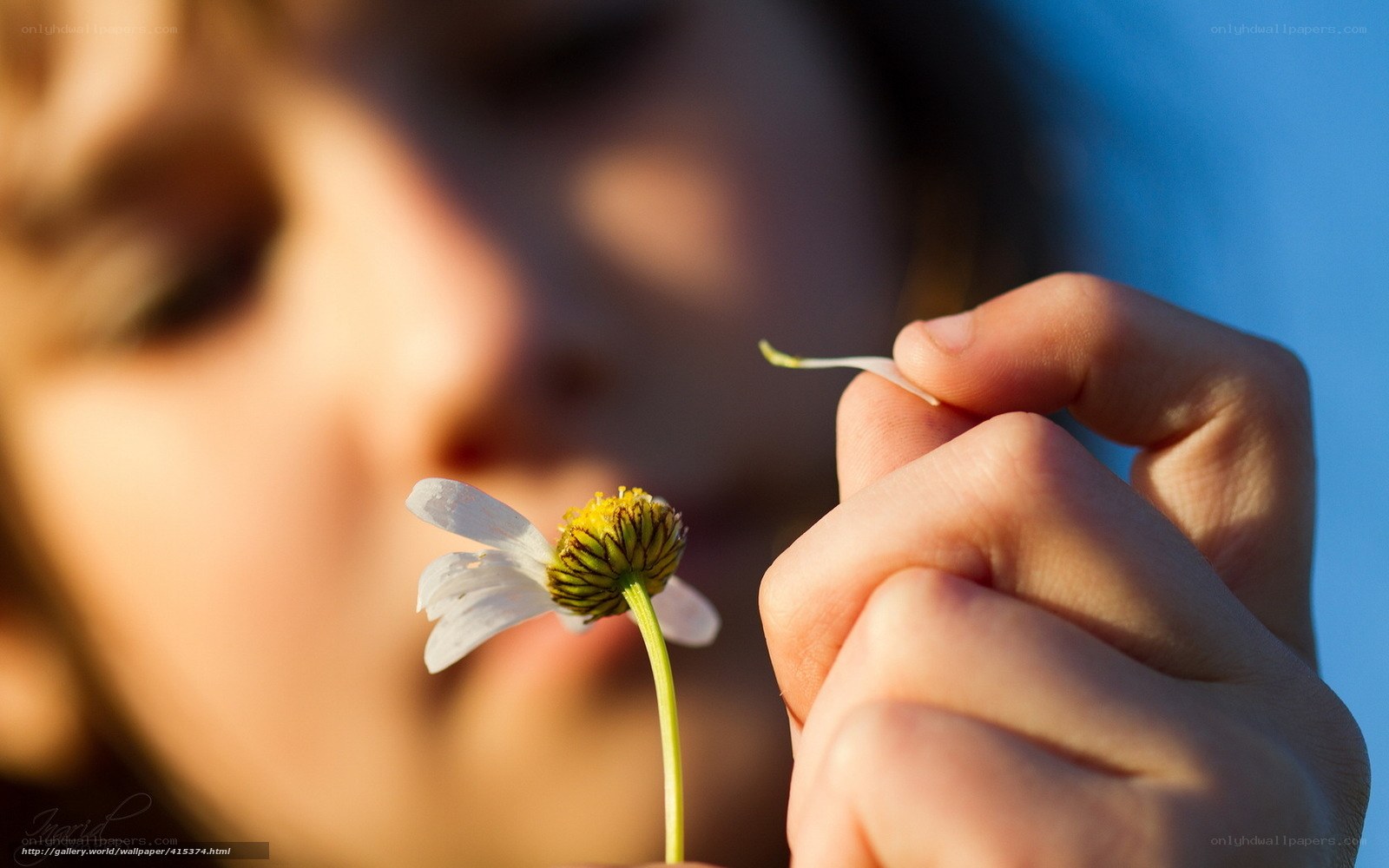 child holding a daisy
