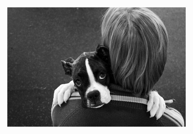 child holding a dog