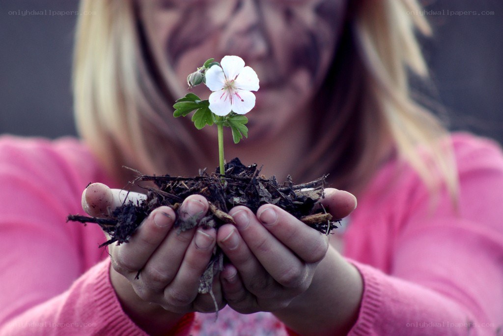 child holding a flower