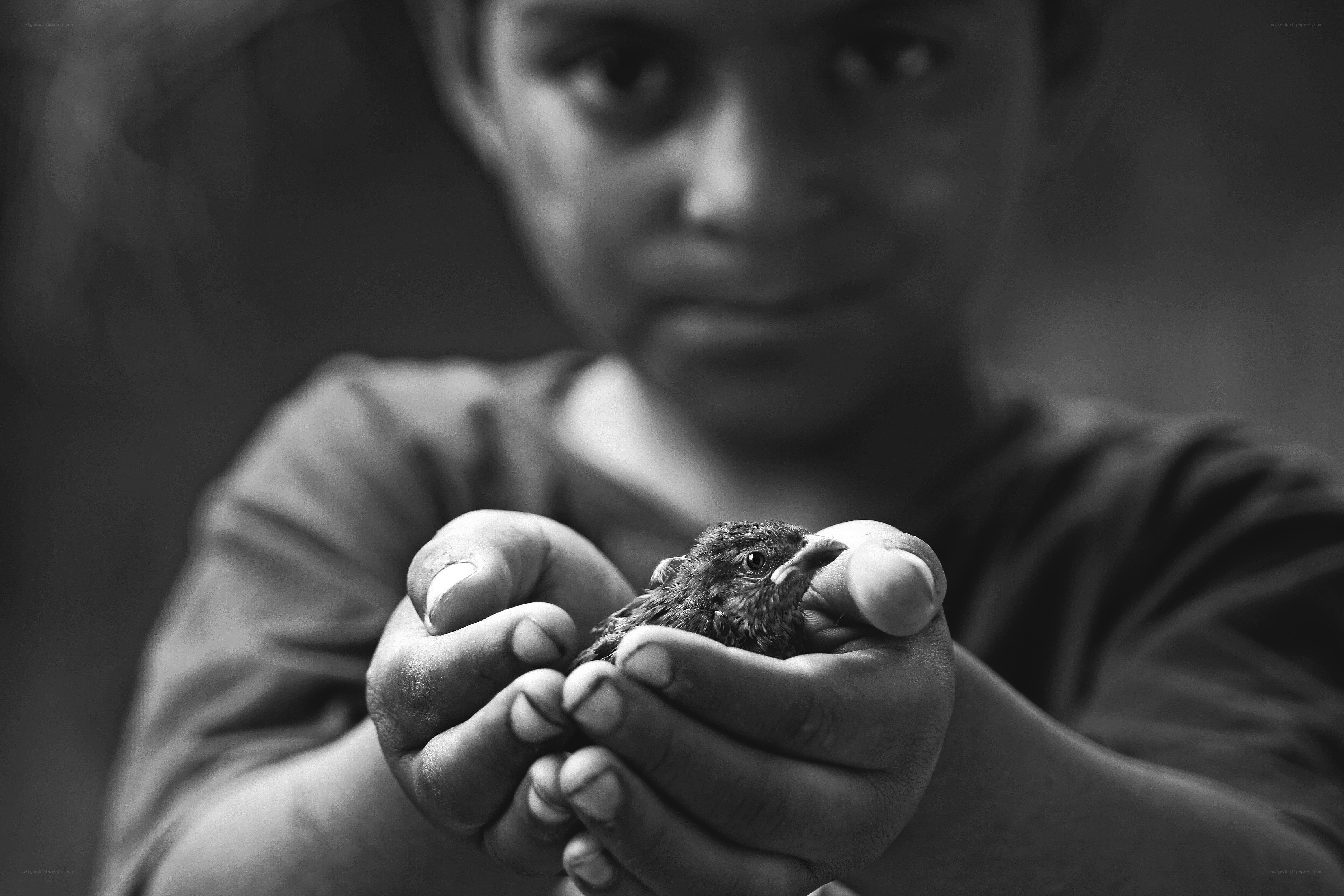 child holding a small bird