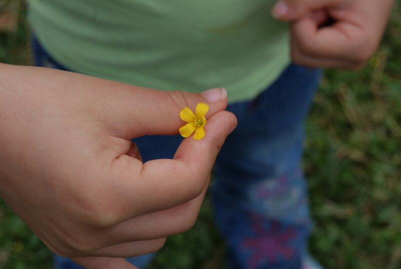 child holding a yellow flower