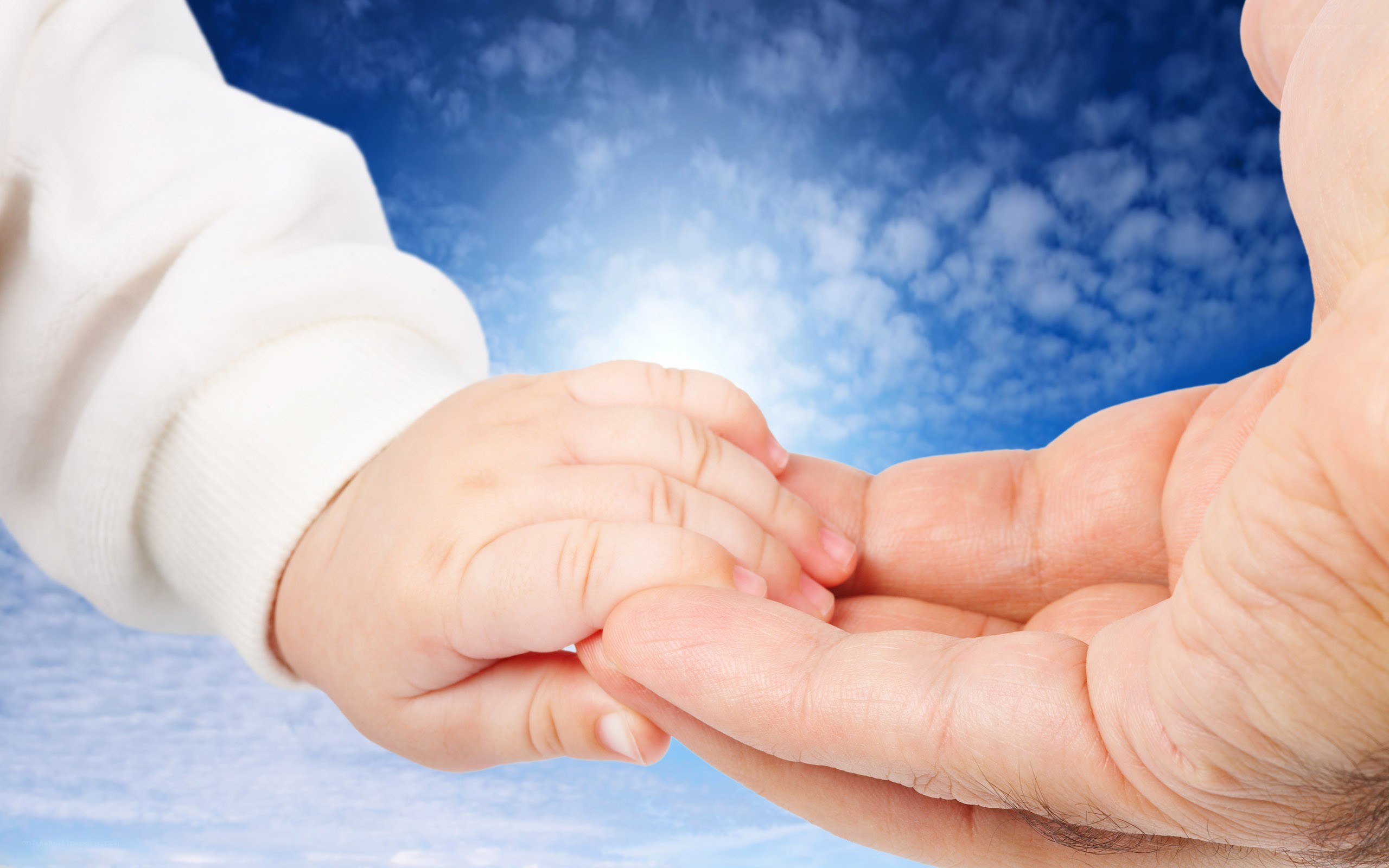 child holding adult hand