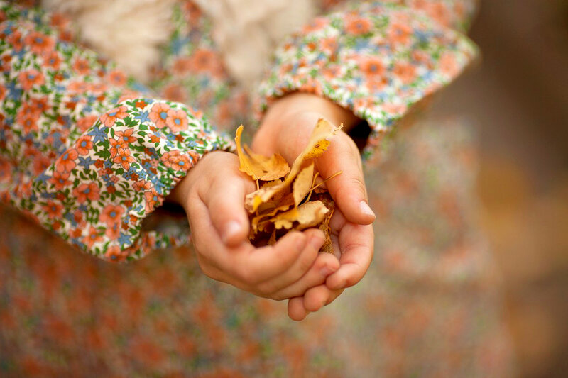 Child Holding Autumn Leaves — Orange